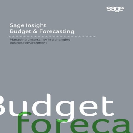 A guide to budgeting & forecasting solutions