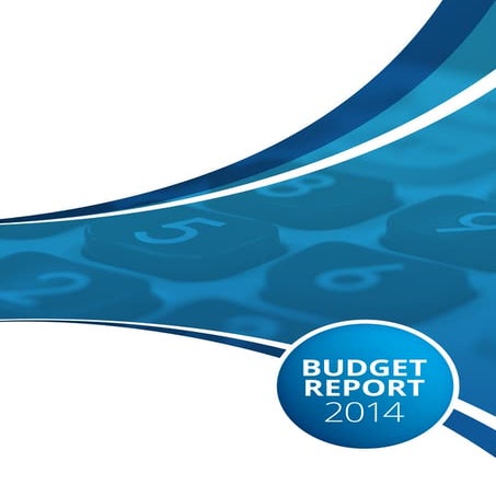 Budget report 2014