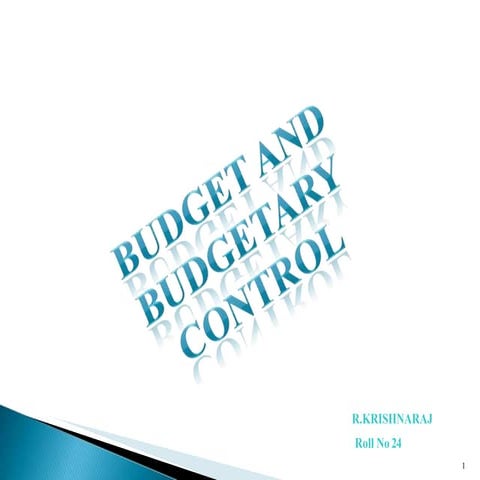 budgets-1222199522318591-8.pptx