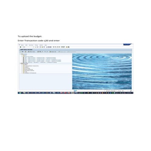 Budget upload process in SAP PS