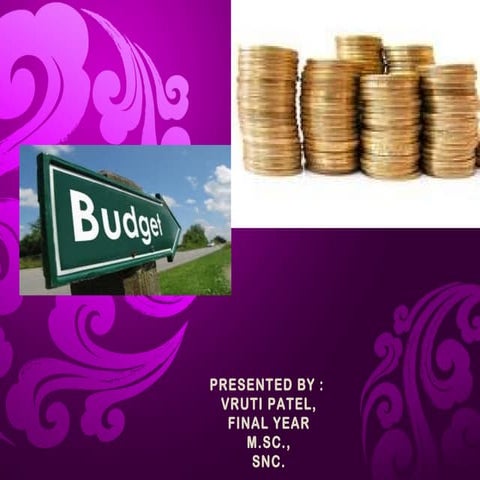 Budget and financialaudit