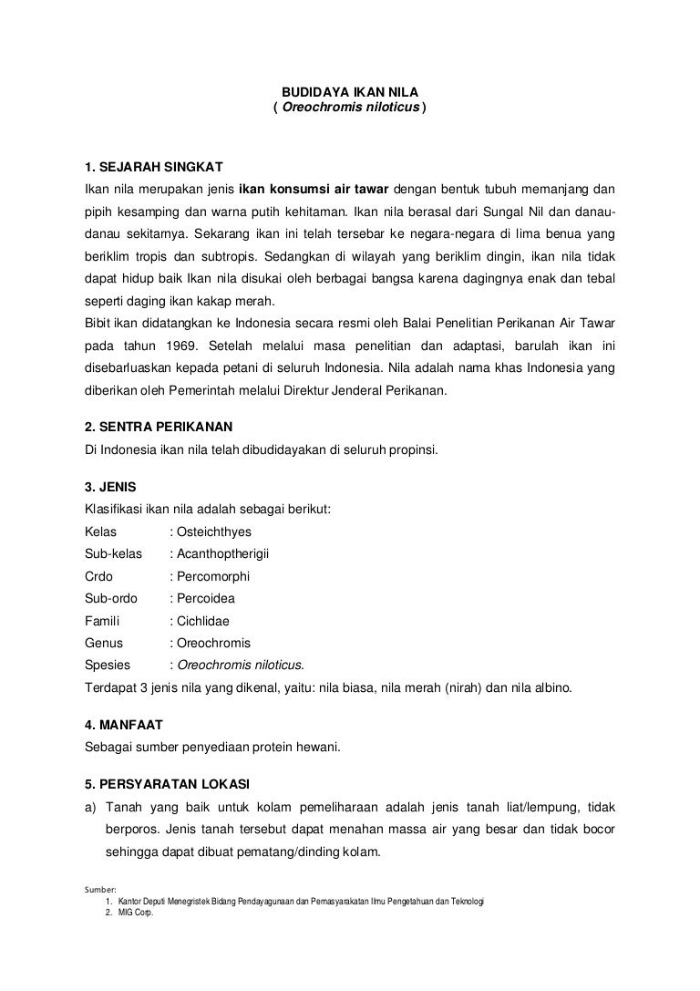 Budidaya Ikan Nila