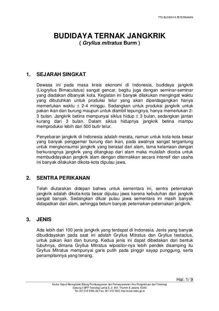 Pedoman Budidaya jangkrik