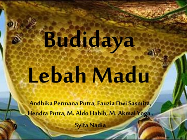 Panduan Gratis Budidaya Lebah Madu Klanceng Pdf Lengkap Download Disini Budidaya Lebah Madu