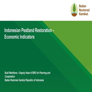 Indonesian peatland restoration: Economic indicators