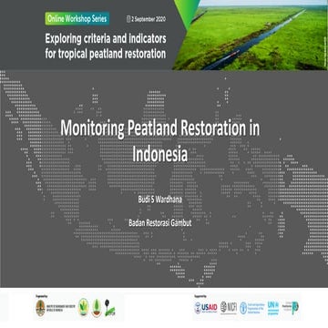 Monitoring peatland restoration in Indonesia