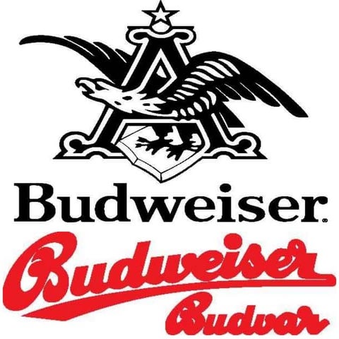 Budlogo | PPTX