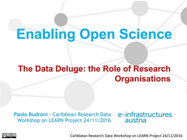 The Data Deluge: the Role of Research Organisations