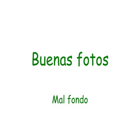Buenas Fotos Mal Fondo
