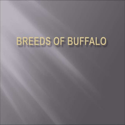Buffalo breeds by Dr B.Sunil kumar