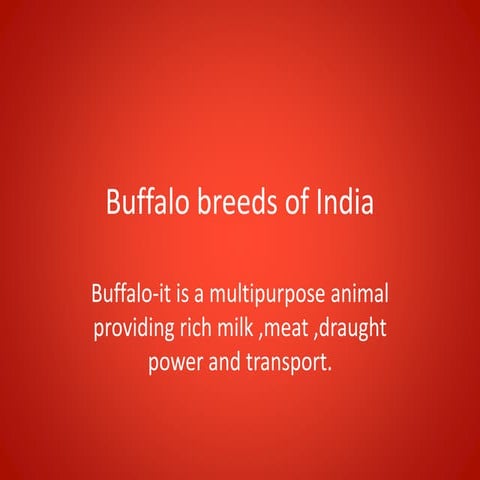 Buffalo breeds of india more info