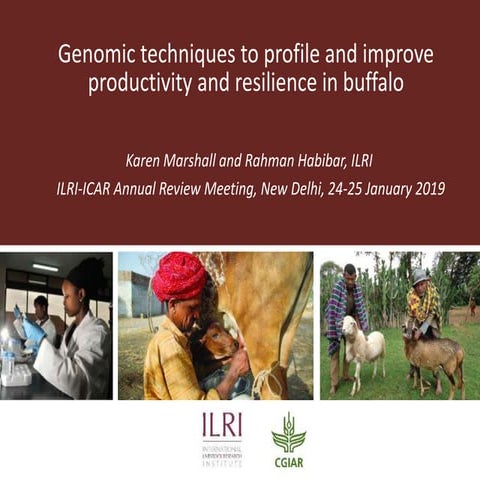 Genomic techniques to profile and improve productivity and resilience in buff...