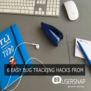 6 easy bug tracking tips & tricks e...
