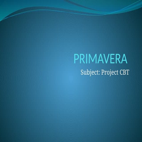 Primavera Project Budget and spending plan