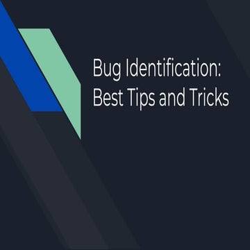 Effective Bug Identification-Best Practices and Techniques | PDF