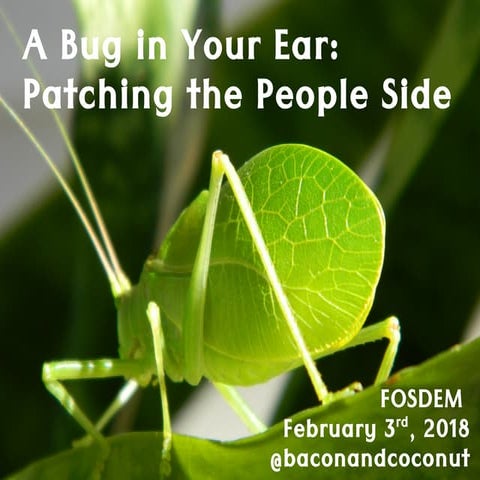 A Bug in Your Ear: Patching the People Side