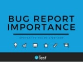 Bug Report 101 Understanding the Im...