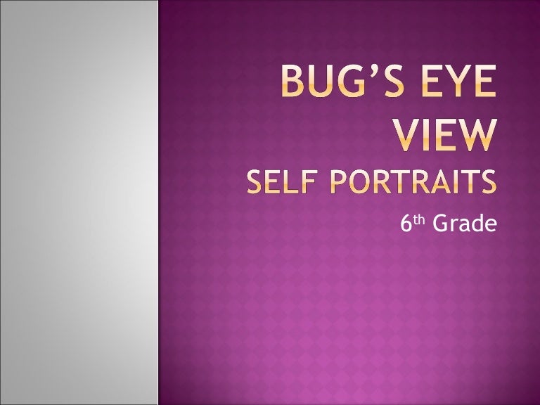 Bug’s eye view examples