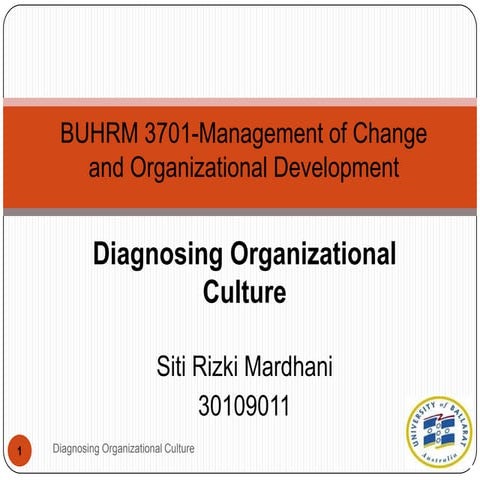 ONE BEST WAY TO DIAGNOSE ORGANIZATIONAL CULTURE