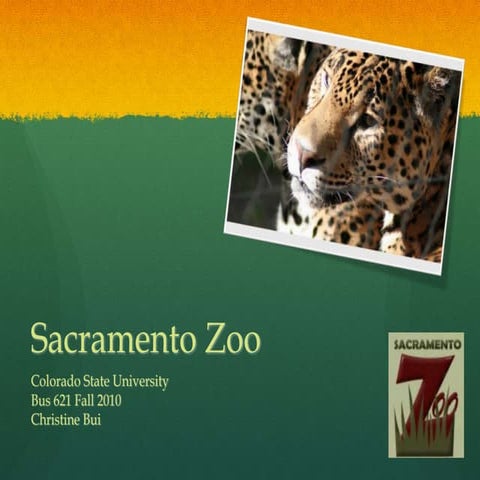 Sacramento Zoo Strategic Analysis | PPTX