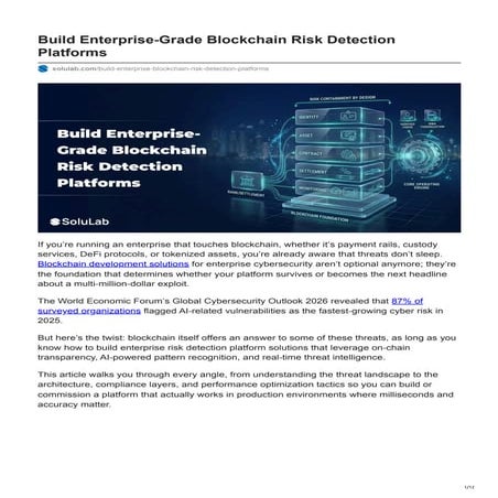 Build Enterprise-Grade Blockchain Risk Detection Platforms.pdf