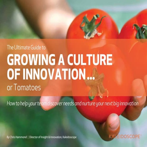 The Ultimate Guide to Growing a Culture of Innovation...or Tomatoes