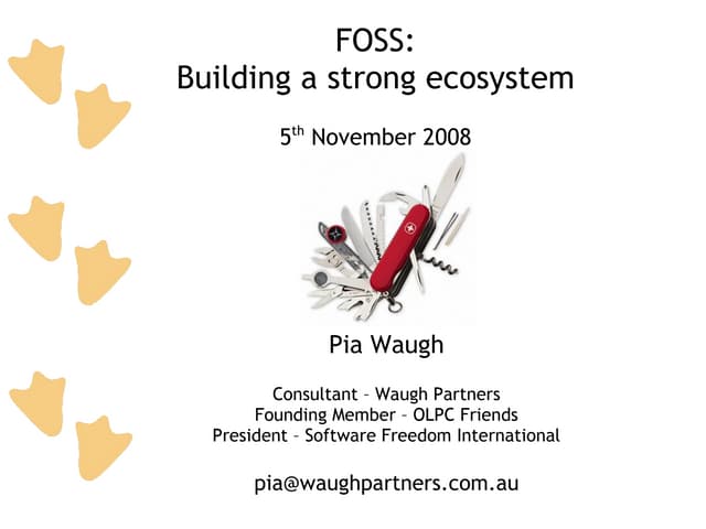 Building A Strong Open Source Ecosystem - Lessons From Around The World