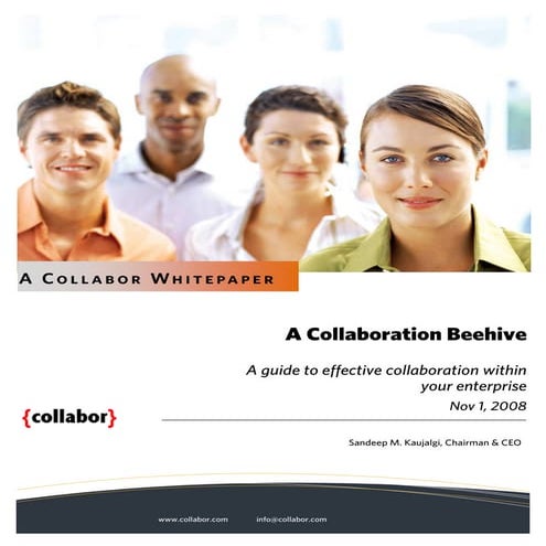 Whitepaper - Building a collaboration beehive