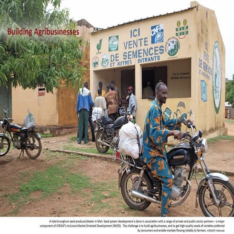 Building agribusinesses