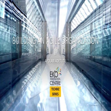 Building an agile organization