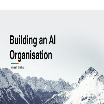 Building an AI organisation