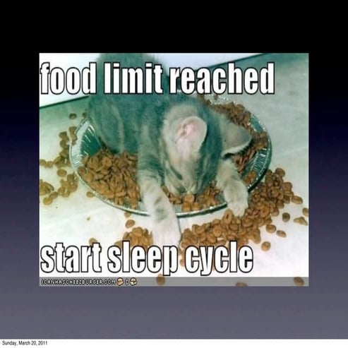 Building a Social Media Strategy - Durham Farm Fresh