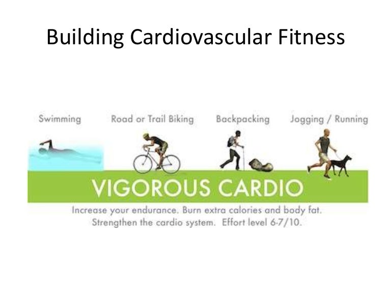 Daily Caring What Is Cardiovascular Fitness