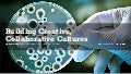 Building Creative, Collaborative Cultures