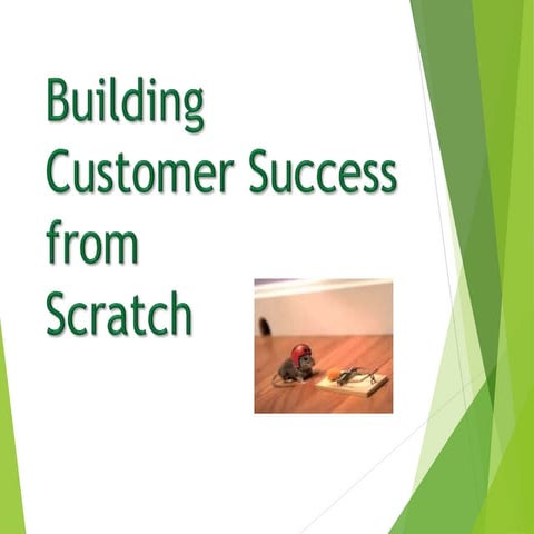 Building Customer Success