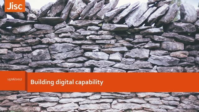 Building digital capability