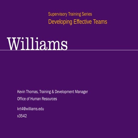 Building effective teams