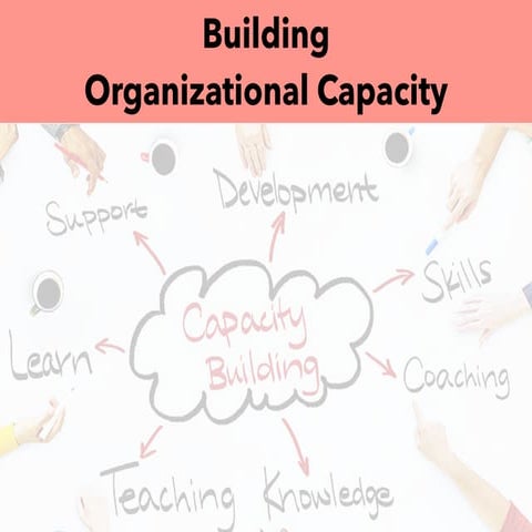Building Organizational Capacity Preview and Feedback