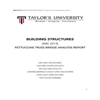 Fettucine Bridge Report