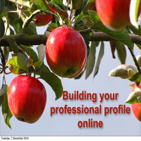 Building your professional profile online