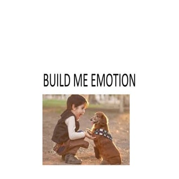 Build me emotion sam.pptx
