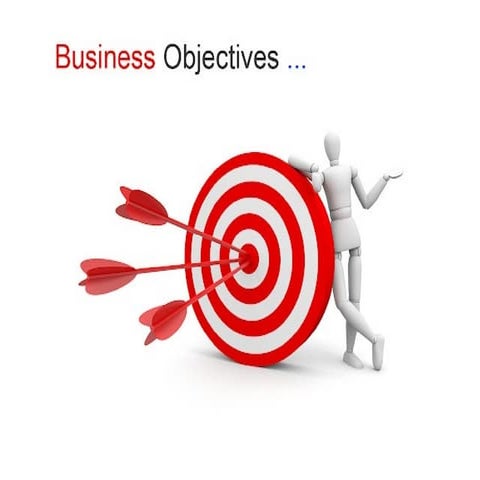 Buisness objectives