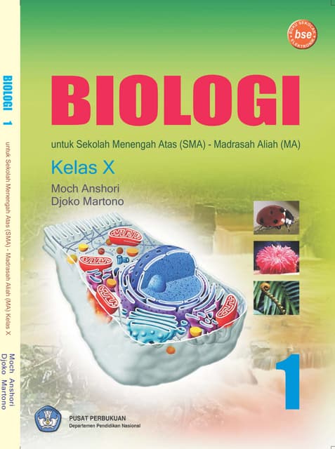 Kunci Jawaban Biologi Soal Biologi Kelas