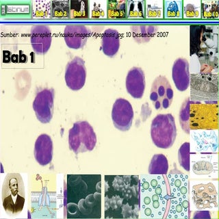 Buku Biologi  xi bab 1