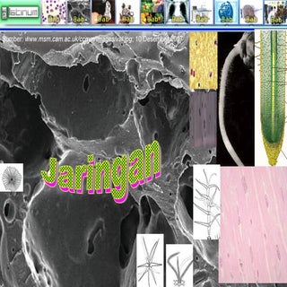 Presentasi Biologi xi bab 2
