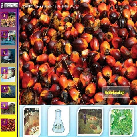 Buku xii bab 7 (Bioteknologi)