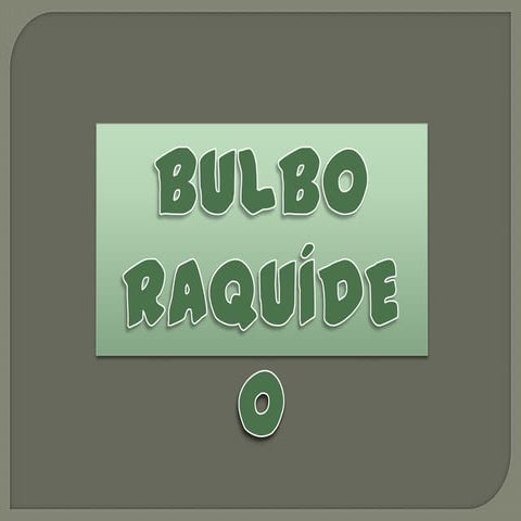 Bulbo raquideo