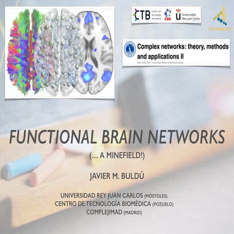 Functional Brain Networks - Javier M. Buldù