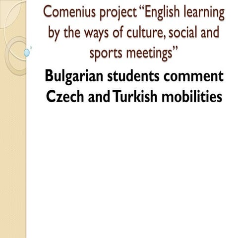 Bulgarian comments (1)