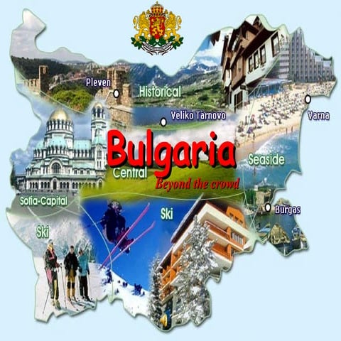 Bulgarians  - presentation